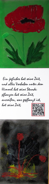 pflanzen und rausreißen