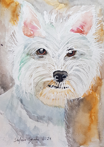 Terrier