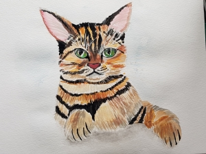 Kater