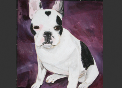 Aimi - ein Frenchbulldog