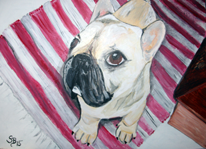 Carlos - der Frenchbulldog meiner Tante