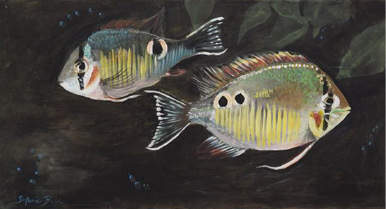 Aquarienfische